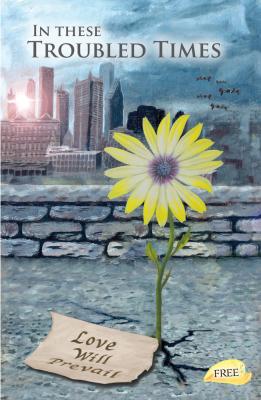 Delicate Daisy popping up through the concrete in a Techo Urban Jungle