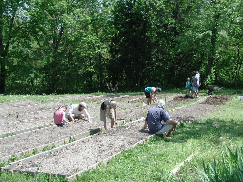 Planting in the spring