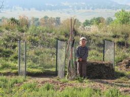 Gardening with organic compost
