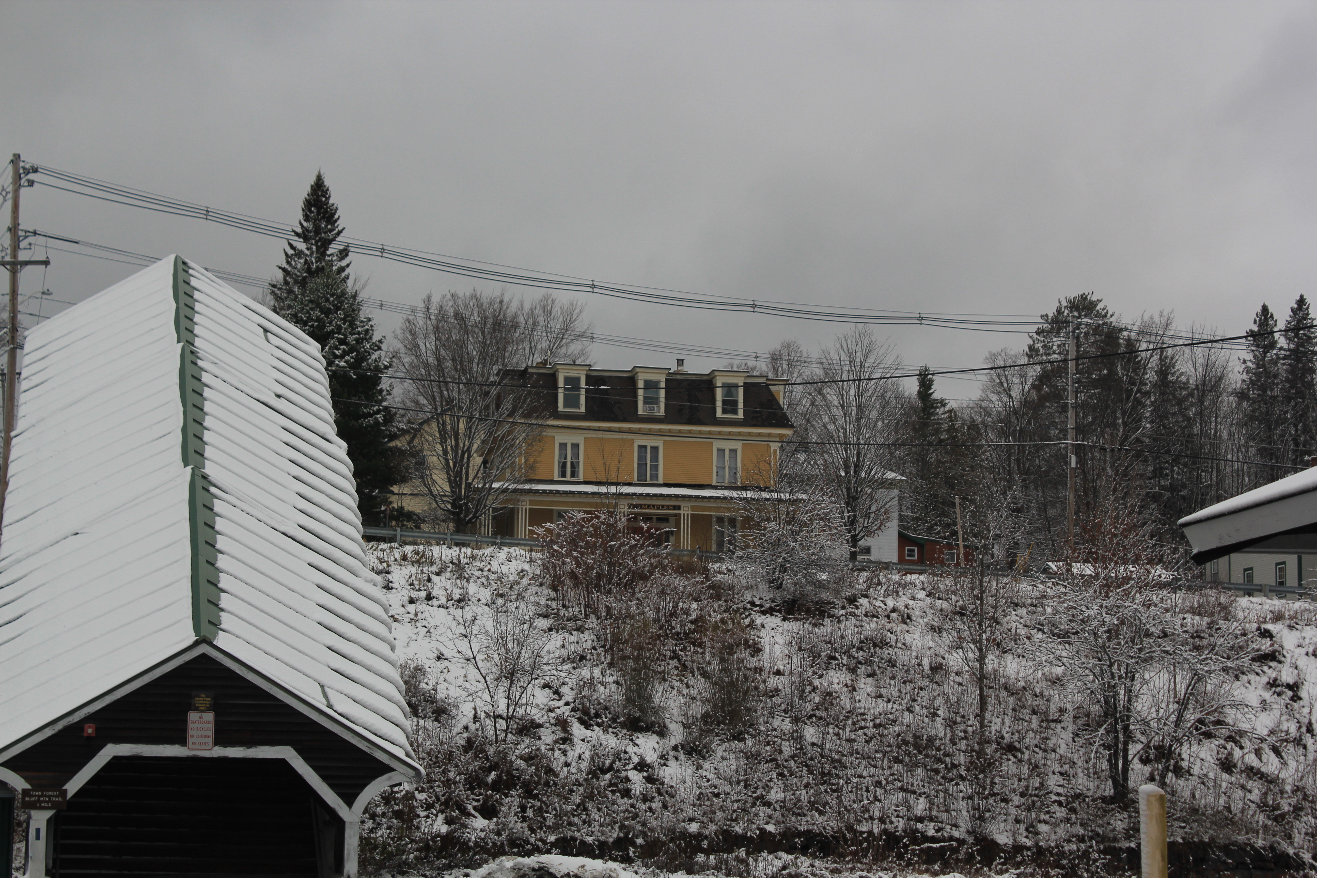 Our house is up on the hill as you look from the bottom of the Foot Bridge.